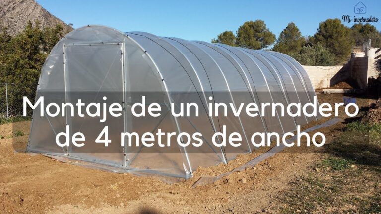 Guía para montar un invernadero: paso a paso