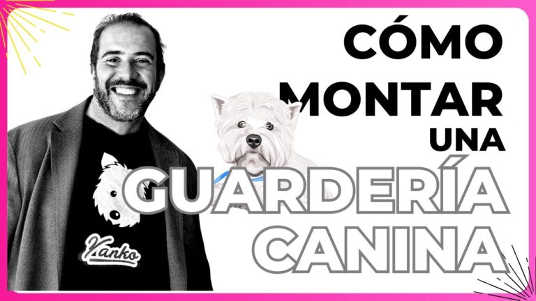 Cómo montar una residencia: Guía completa
