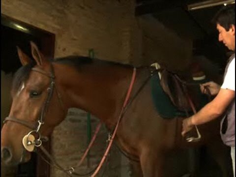 Guía para colocar una silla de montar de manera eficiente
