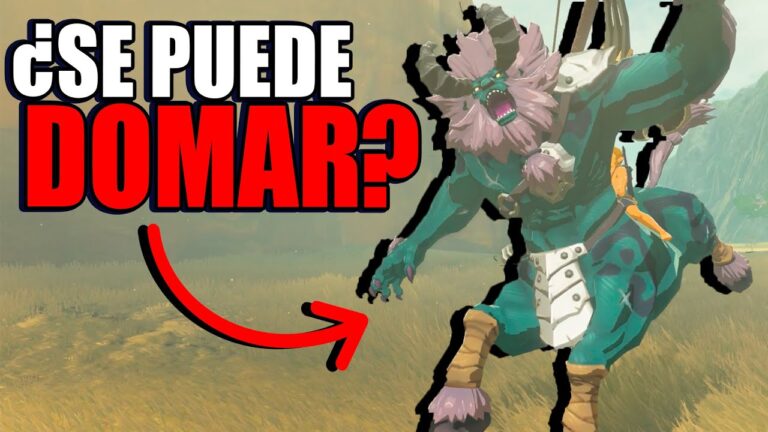 Cómo montar un centro de leones