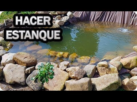 Guía para montar un estanque: consejos prácticos