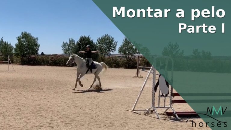 Cómo montar a pelo: Guía paso a paso