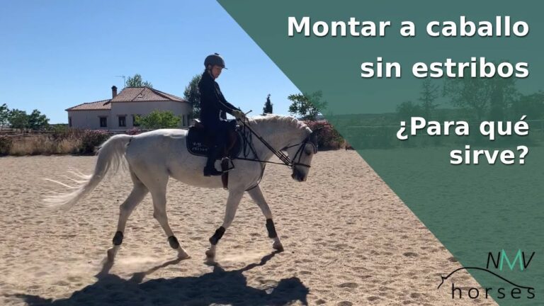 C&oacute;mo montar a caballo sin silla: Gu&iacute;a pr&aacute;ctica