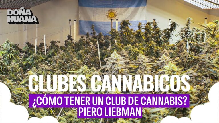 C&oacute;mo crear un club cann&aacute;bico
