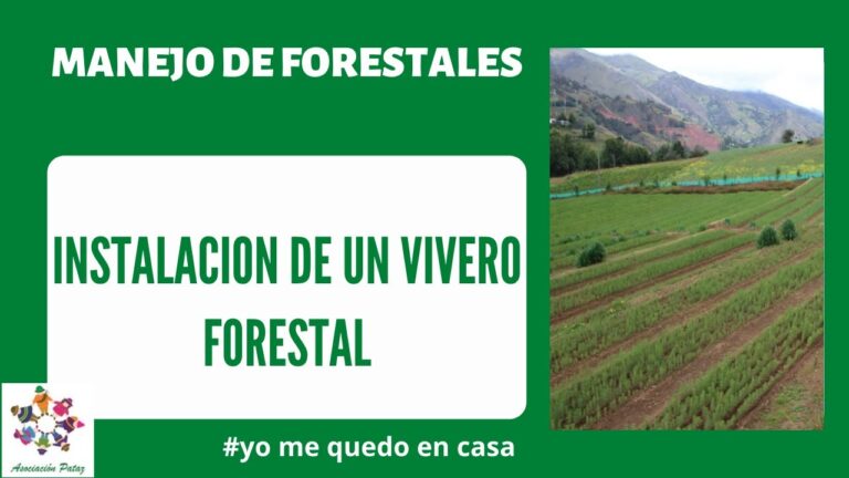 Gu&iacute;a para montar un vivero forestal