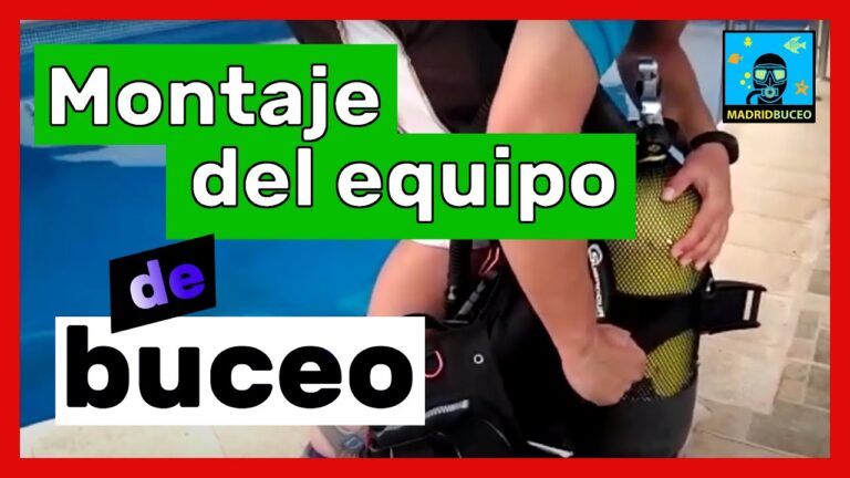 Gu&iacute;a para armar tu equipo de buceo