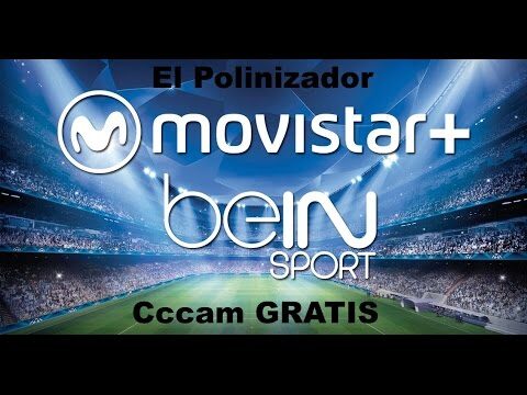 C&oacute;mo montar un servidor CCCam: Gu&iacute;a completa