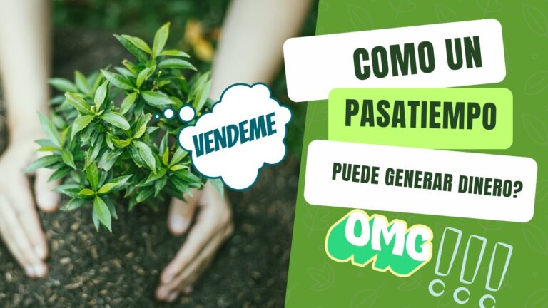 Gu&iacute;a para montar una tienda de plantas: Pasos clave y consejos