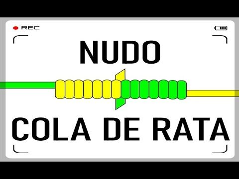 C&oacute;mo montar una cola de rata: gu&iacute;a optimizada