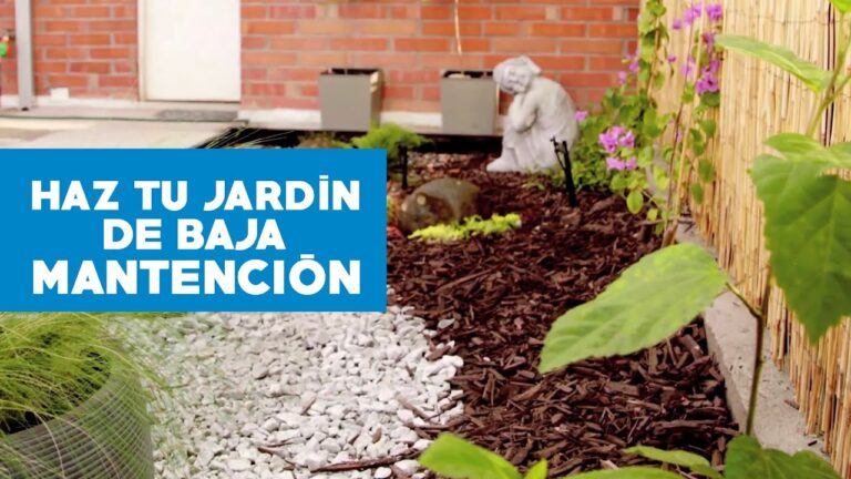 Guía para Montar un Jardín: Paso a Paso