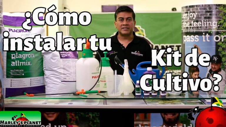 Guía para Montar un Interior de forma Eficiente