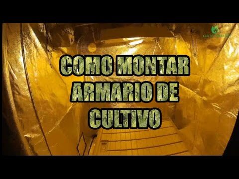 Guía para armar un armario de cultivo de forma eficiente