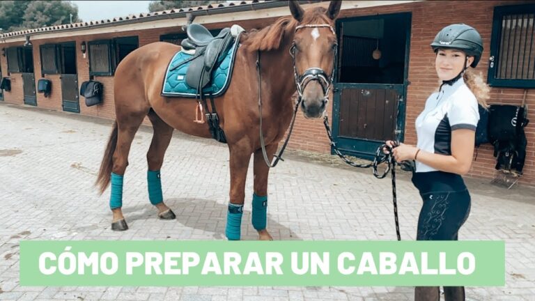 C&oacute;mo preparar a un caballo para montar
