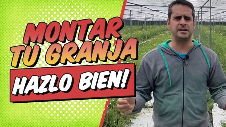 Guía para montar una granja de caracoles
